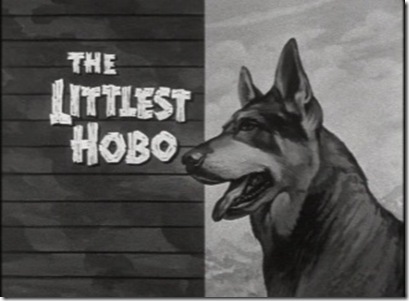 the_littlest_hobo