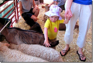 Petting Zoo with Elaine
