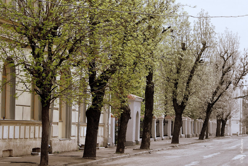Трехсвятская улица Тверь.