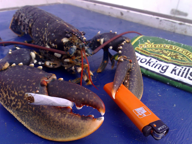 29072007385.jpg