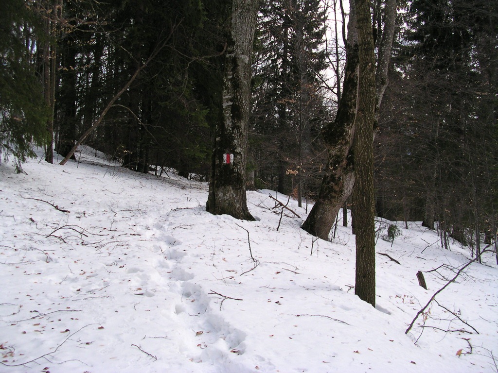 [DSCN19304.jpg]