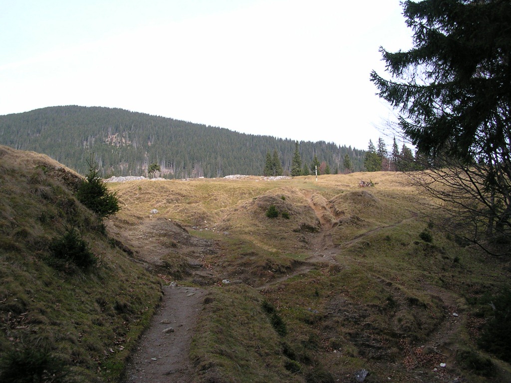 [DSCN1380[11].jpg]