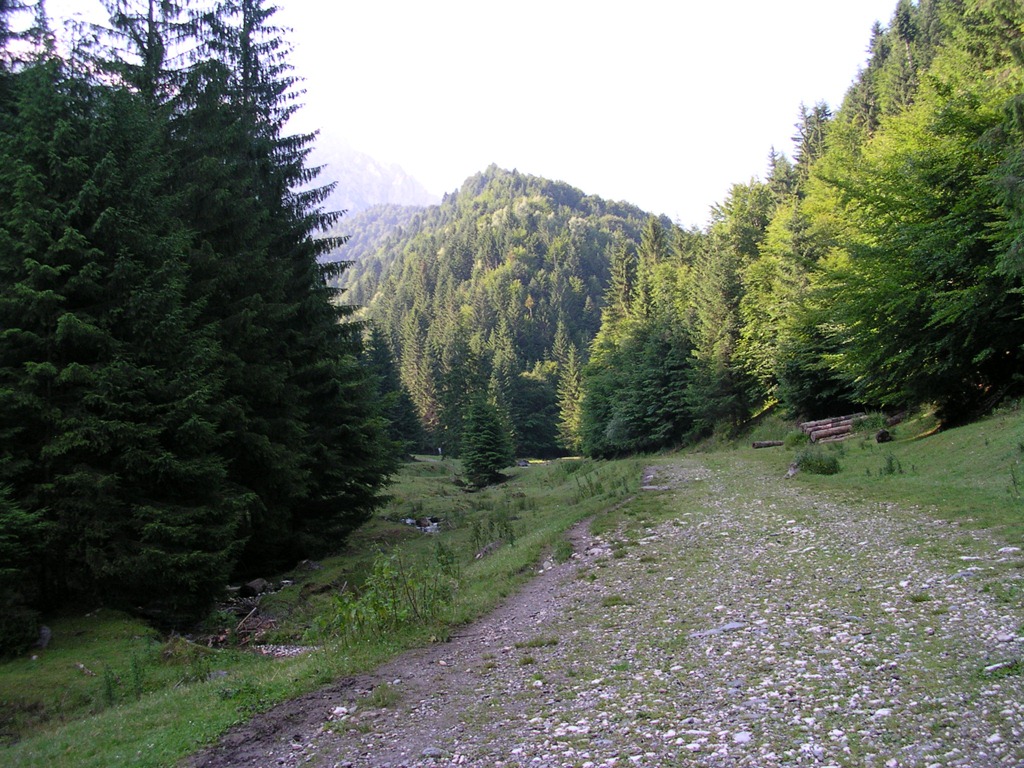 [DSCN80874.jpg]