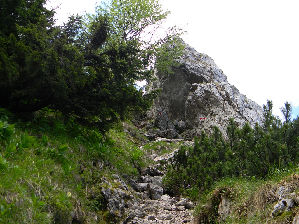 [DSCN47874.jpg]