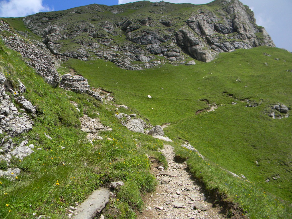 [DSCN55344.jpg]