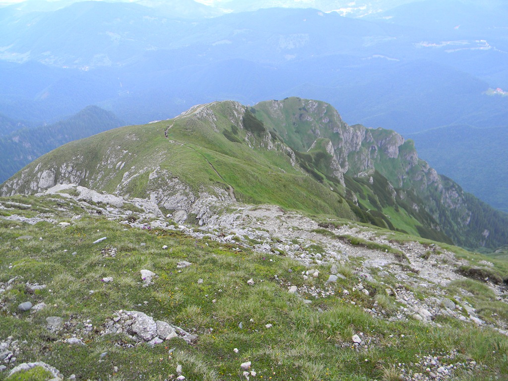 [DSCN57694.jpg]