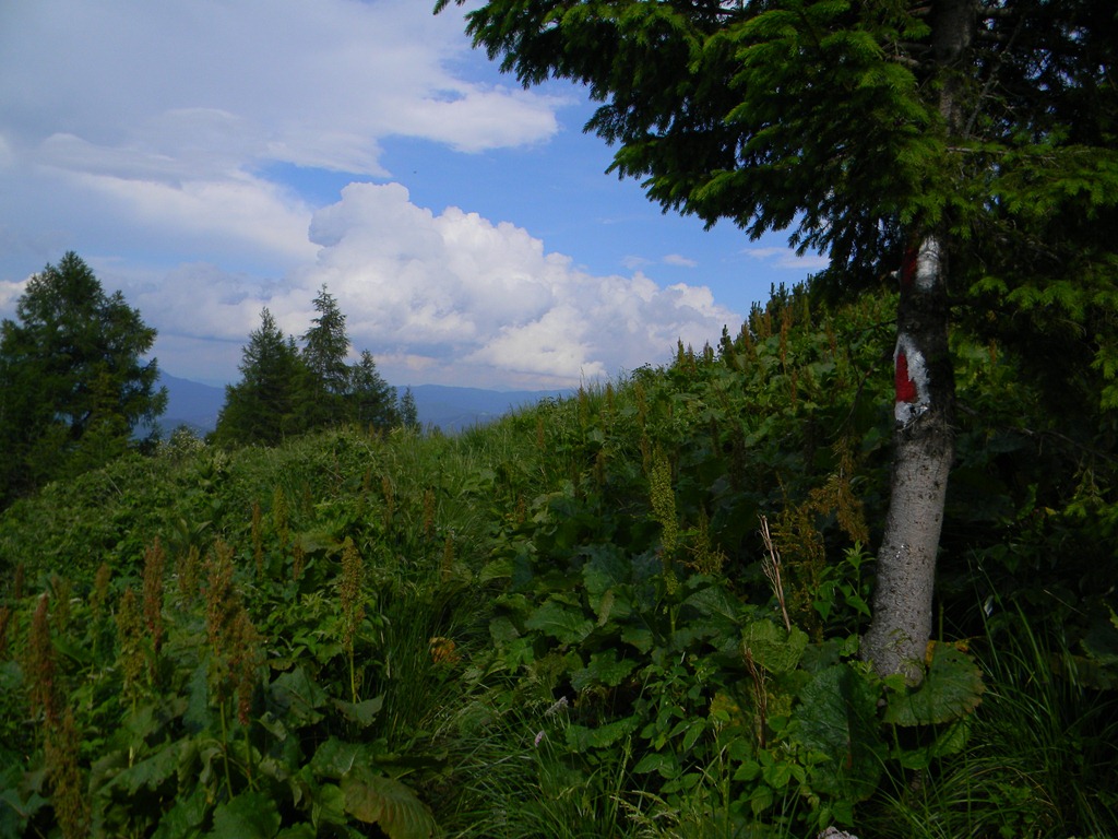 [DSCN58545.jpg]