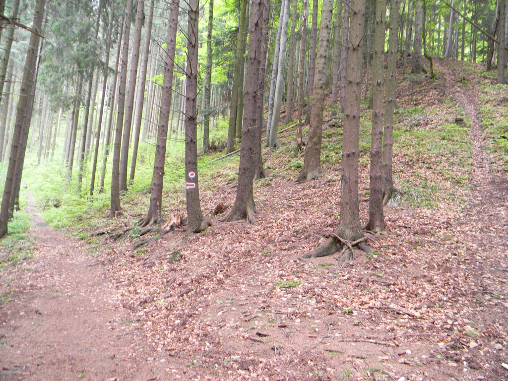 [DSCN36713.jpg]