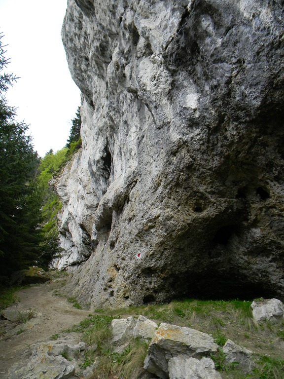 [DSCN37454.jpg]