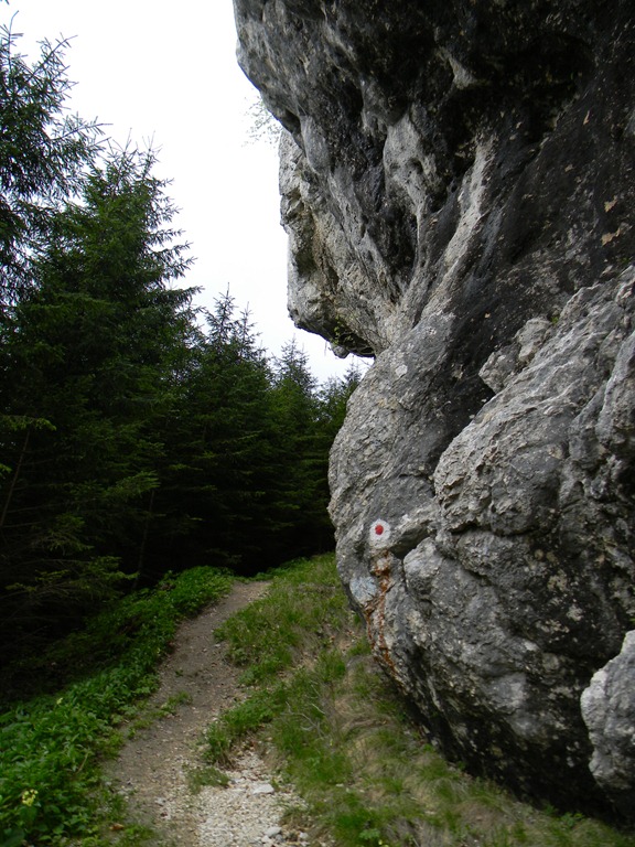 [DSCN37804.jpg]