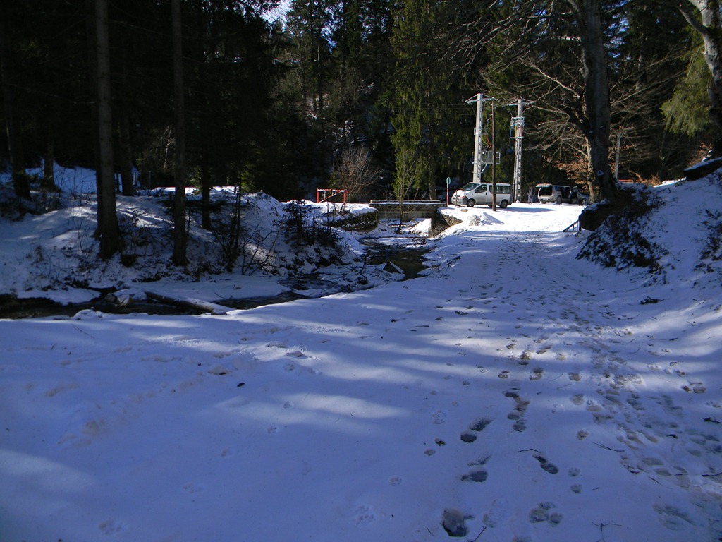 [DSCN30683.jpg]