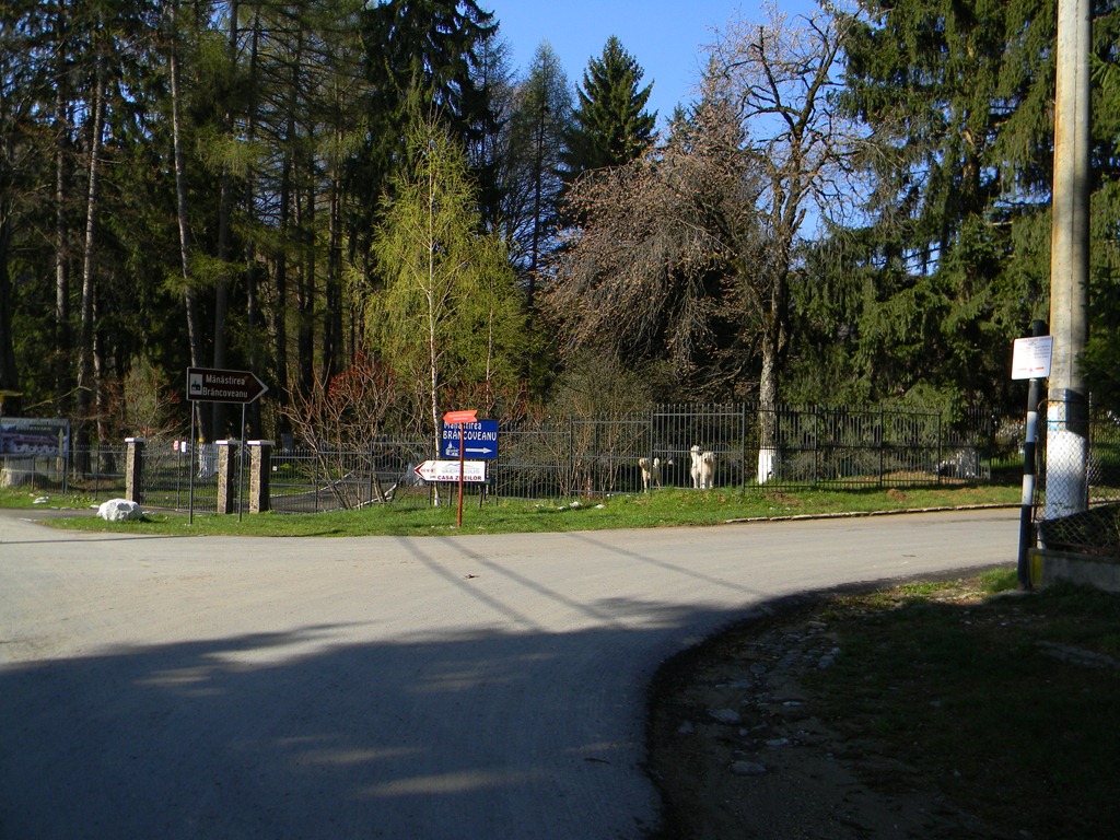 [DSCN40913.jpg]