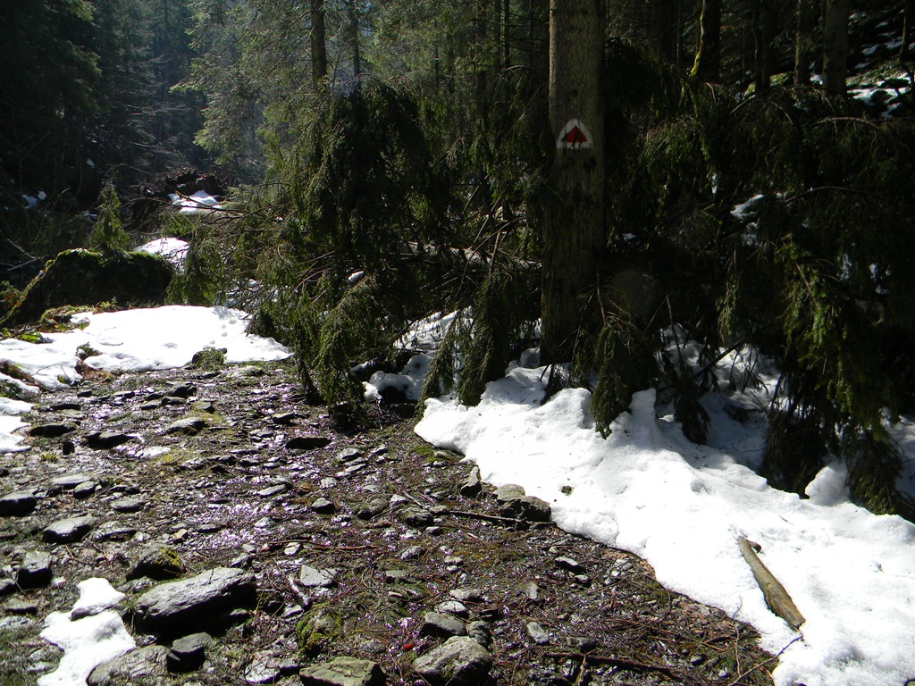 [DSCN41873.jpg]