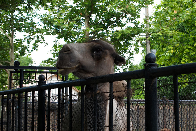 Поход в николаевский зоопарк.