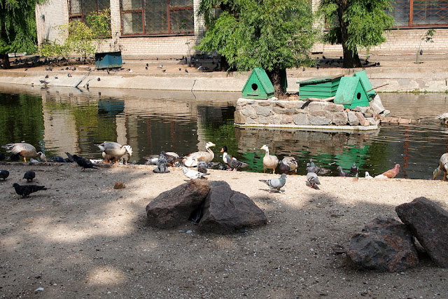 Поход в николаевский зоопарк.