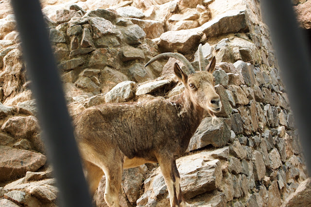 Поход в николаевский зоопарк.