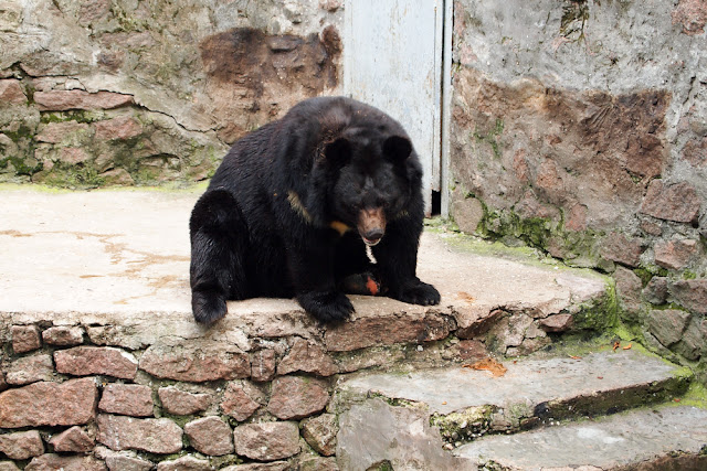 Поход в николаевский зоопарк.