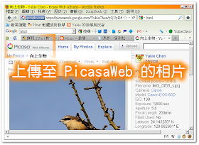一張上傳至 PicasaWeb 的相片