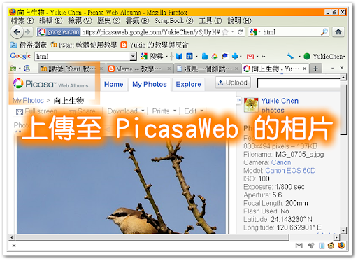 一張上傳至 PicasaWeb 的相片