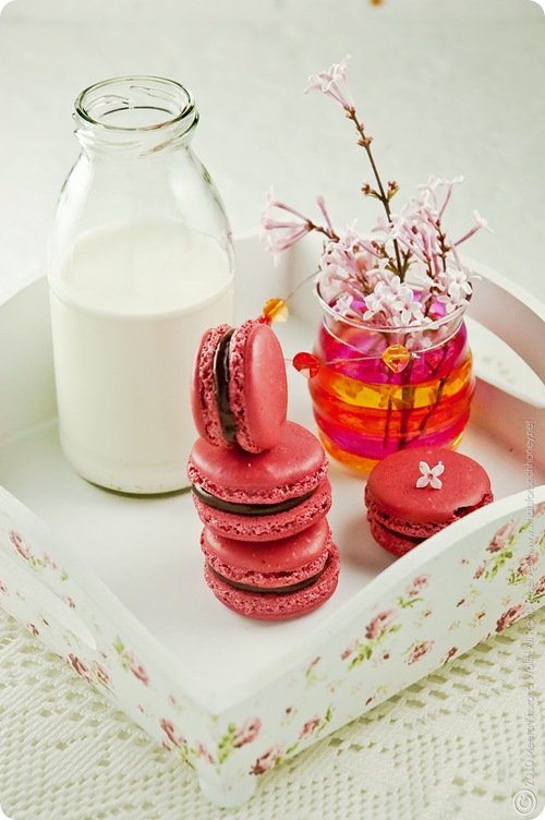 Raspberry Chcocolate Tahini Macarons (0003) By MeetaK