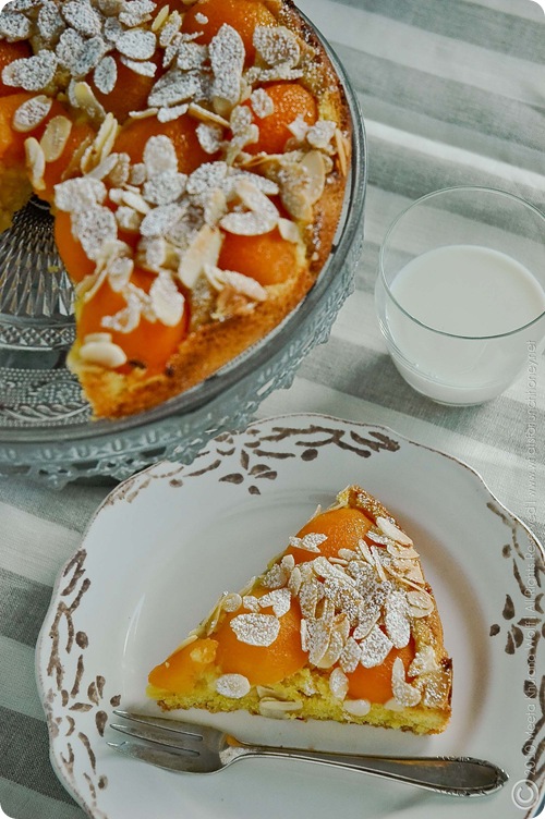 Apricot Saffron Cake (0009) by MeetaK