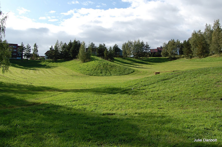 DSC_4991.JPG
