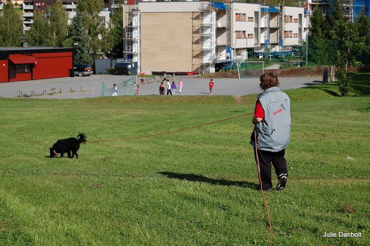 DSC_4979.JPG