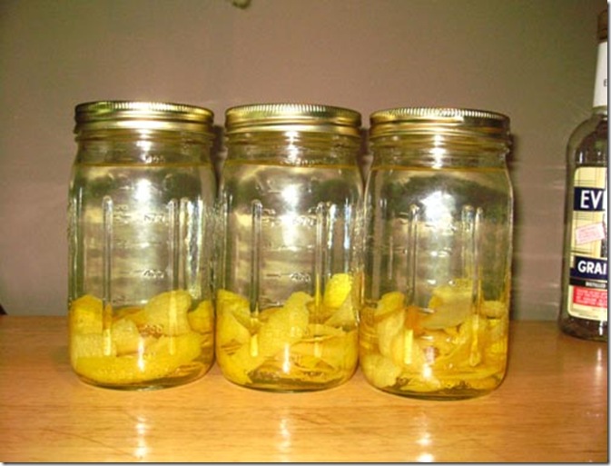 3 - lemon peels in jars