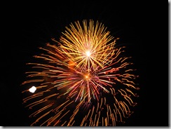 fireworks 640 x 480
