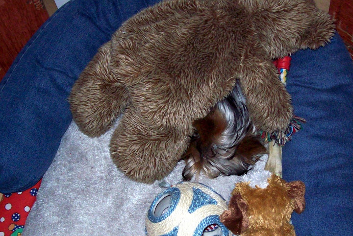 100_6715-1.JPG