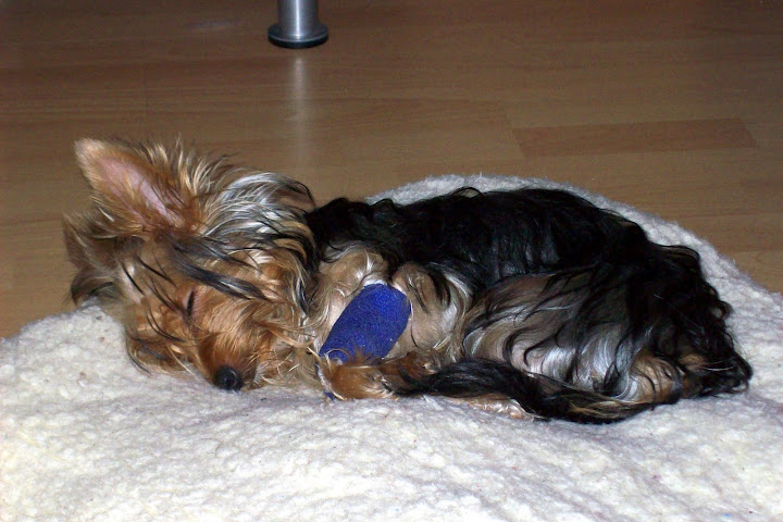 100_6869-1.JPG