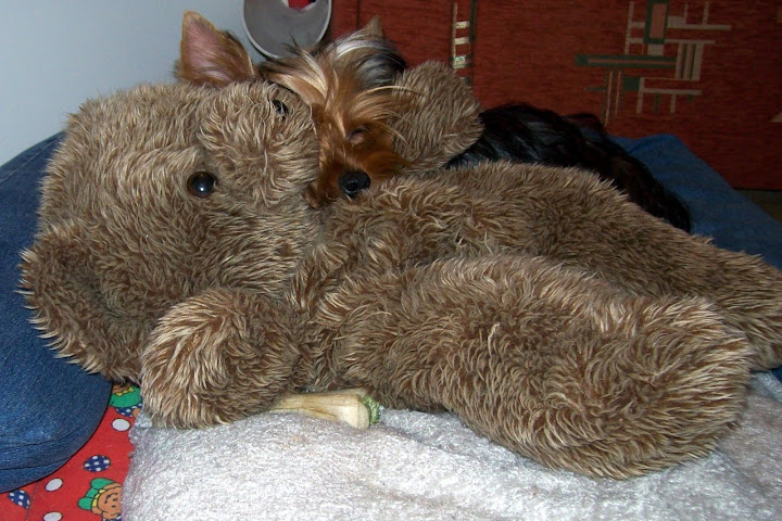 100_6979-1.JPG