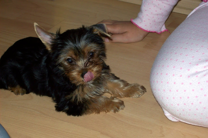 Lulu%20028-1.jpg