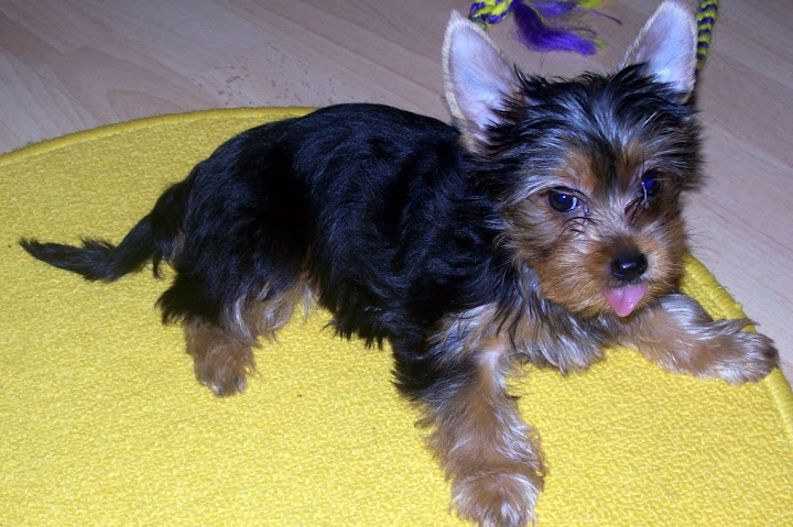Lulu%2009.okt.%20053-1.jpg