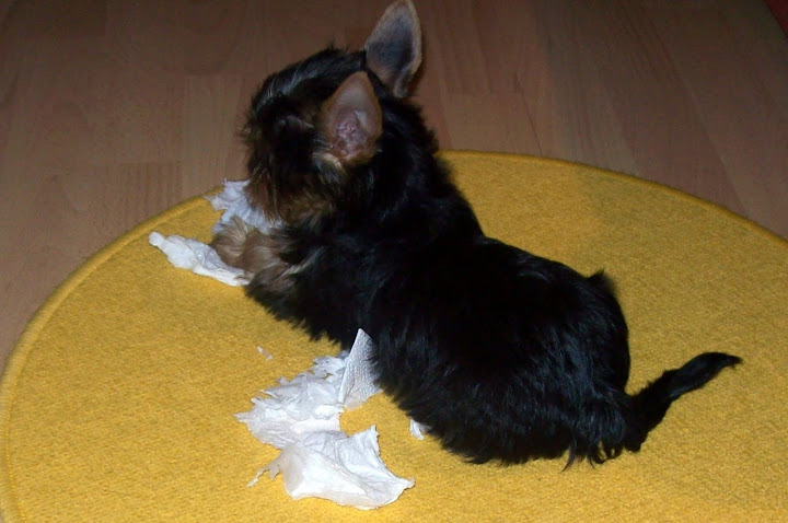 Lulu%2009.okt.%20054-1.jpg