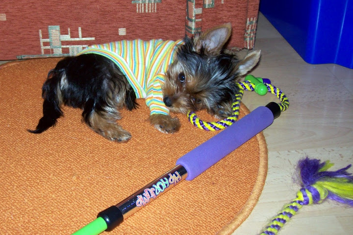 Lulu%2009.okt.%20143-1.jpg