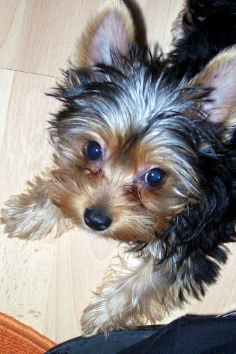 Lulu%2009.okt.%20191-1.jpg