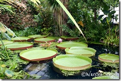 IMG_4859 IMG_4859
