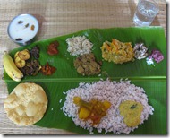 IMG_5584 IMG_5584