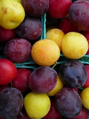 colourful plums