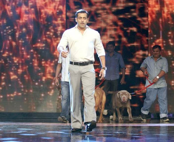 CLICK THE ABOVE ARROW TO  ZOOM THE IMAGE