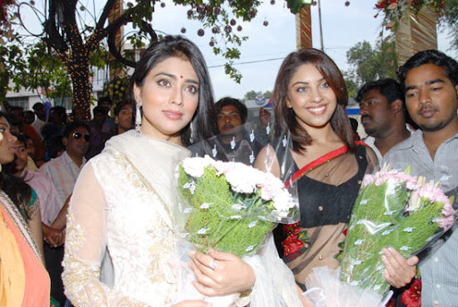 CLICK THE ABOVE ARROW TO  ZOOM THE IMAGE