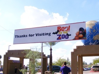Zoo 21