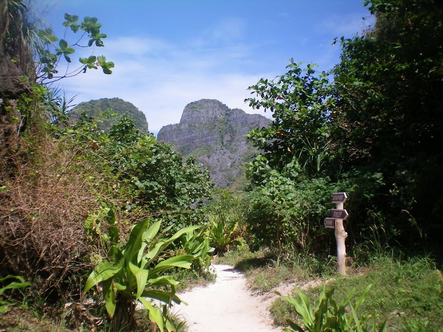 Maya Bay: version jungle