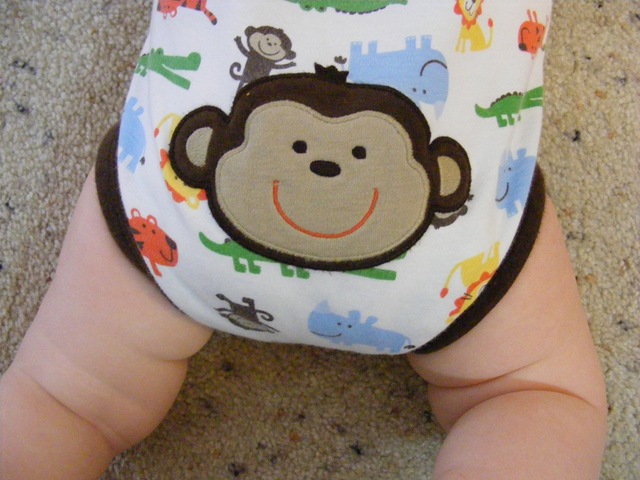 [charlie's monkey butt[2].jpg]