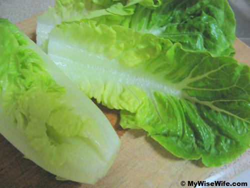 romaine lettuce salad. Romaine Lettuce - ready for