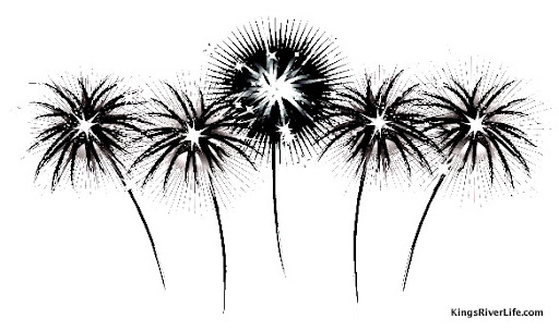 fireworks pictures black and white. girlfriend Black and White