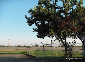 Photo by Lorie Lewis Ham Reedley Municipal Airport