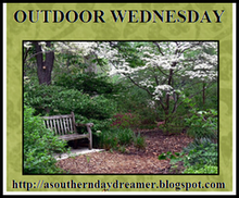 [Outdoor_Wednesday_logo[7].png]