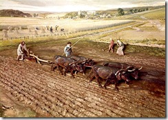 Medieval ploughing